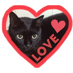 黒猫小太郎のお役立ちスタンプ