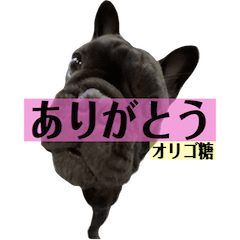 うちのバイエス３