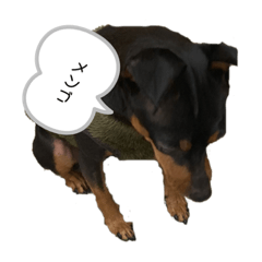 トミースペシャルII