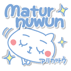 インドネシア。可愛いネコのリアクション!