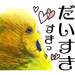 インコの王子様 もふもふっ☆40個