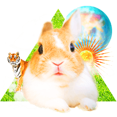 うさぎnoとら -実写!!スタンプ-