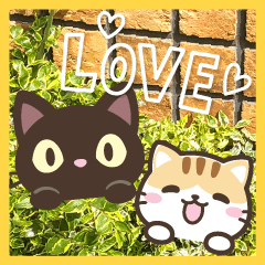 写真に貼れる♪クロときどきミケ