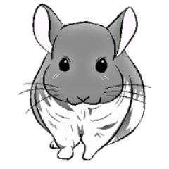 可愛くて愉快なチンチラたち