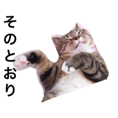 ちびたくんとライくん3