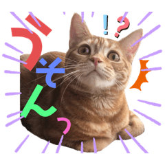 ただただ可愛い、こうめちゃんスタンプ♡2