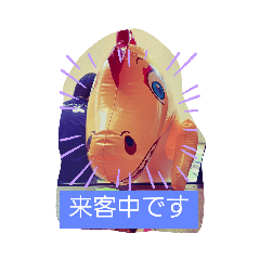 我が家の日常 cotton