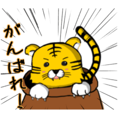 虎ツボです！