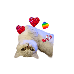 小喬のつぶやきvo1