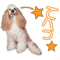 中村家のハニーちゃん 3