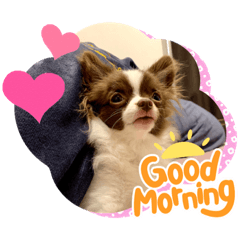 ロゼ様スタンプ