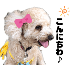 モア life ⸝⋆⸝⋆