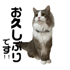 ぐれおとすのこ2