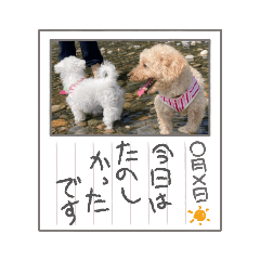 モコとましゅまろ③