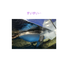 癒しの水族館スタンプ☺️ᙅ⩬