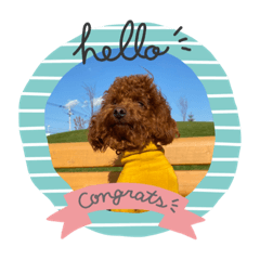 ニコニコ楽ちゃん2