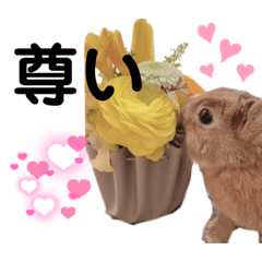 花×みかんたんスタンプ