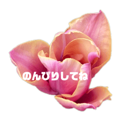 小さなおはなのことば