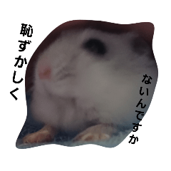 スーパーハムスター白餅スタンプ