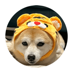 さくおとぼたん