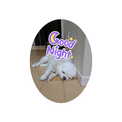 ふう&コロウスタンプ