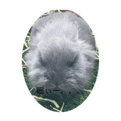 うさぎ＝スタンプ