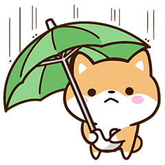 まめシバ【基本】