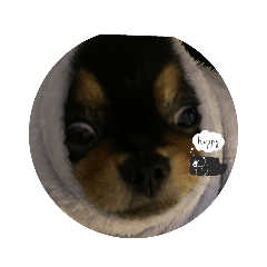 てんてん可愛い♥