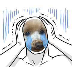 むったんとぴちこ