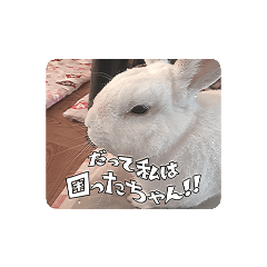 ゆる小梅スタンプ1