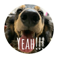 ハリー見やすい