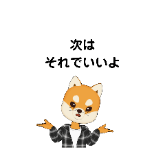 いろいろな　次は　①-3　B