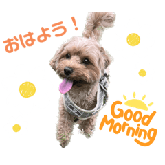 ラテまるくん②