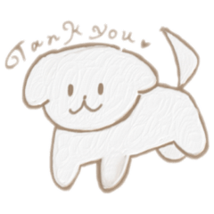 可愛い白犬さん