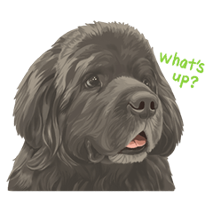 わんわんファミリー no.02