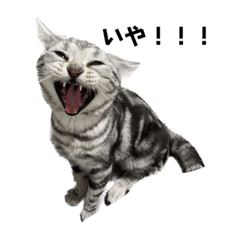 こてつのスタンプver.1