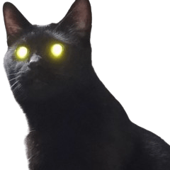 我が猫を見よ！