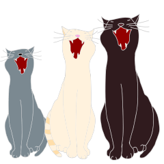 にゃんこ3兄妹の日常