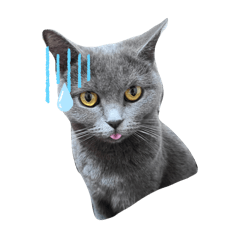 りぶさんのスタンプ