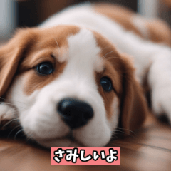 愛犬のキュートな瞬間