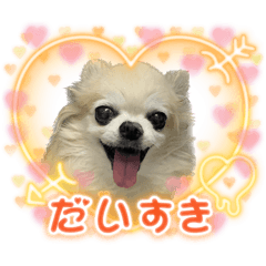 マックとチコちゃん1