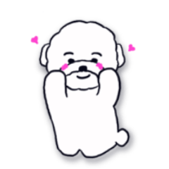 Terry and Friendly Neighbors