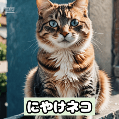 気分屋ネコの感情日記