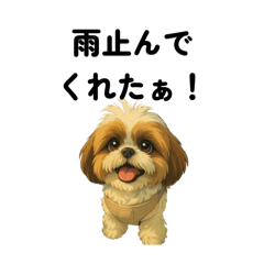 虎キチ『のの』の一言①