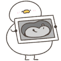 妊娠中のへんてこなアヒル