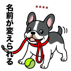 名前入りフレブルパイド①