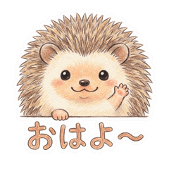 ハリネズミ可愛い