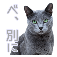 毎日使える♡ツンデレ猫のあいさつ