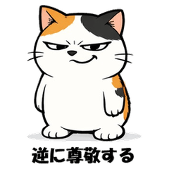 無言圧が強い三毛猫