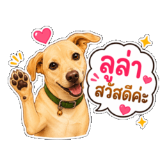 Lula the dog